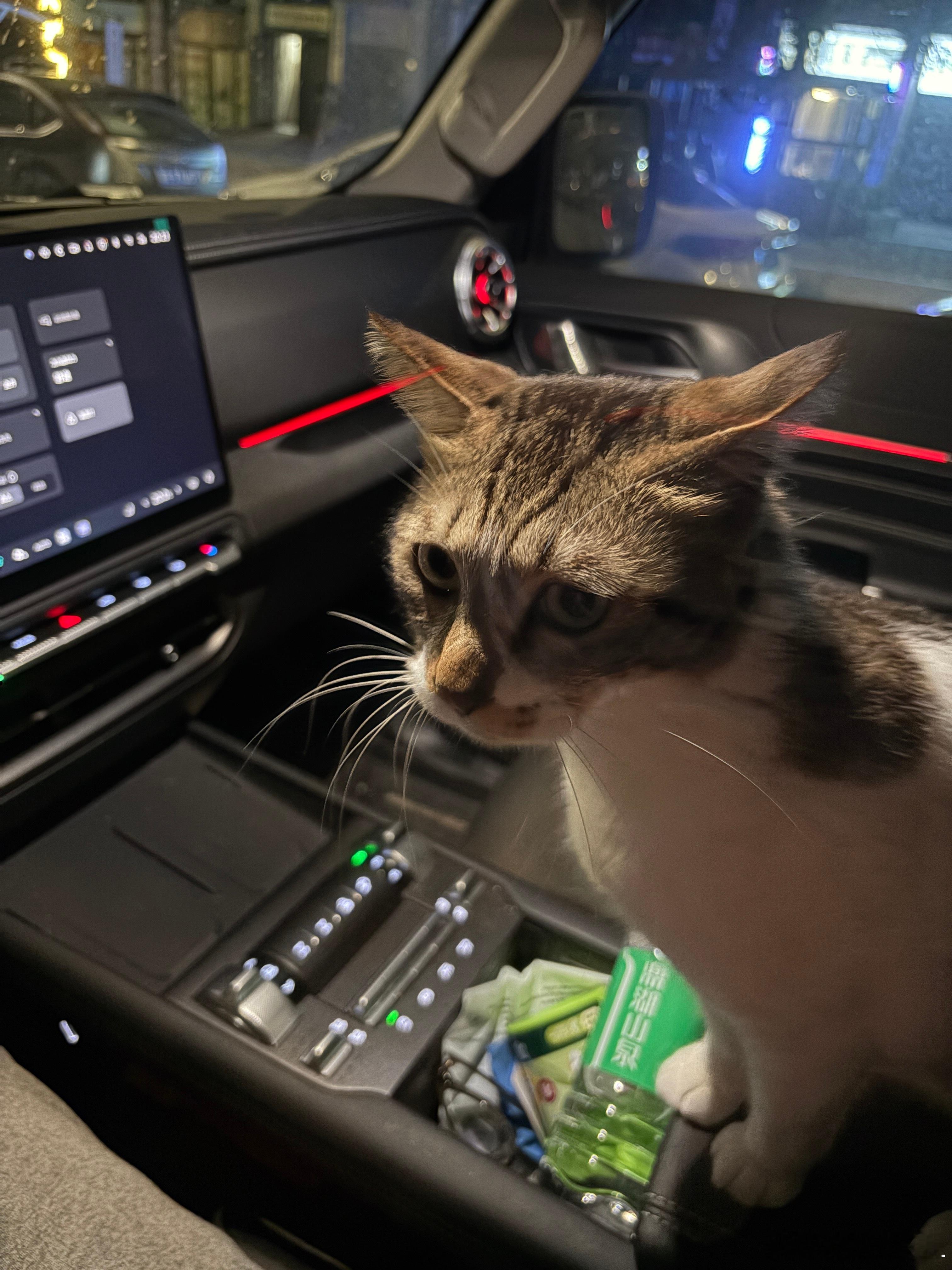 直到今天，直到此时此刻。我总算理解了那些没有实体按键的车了。没有实体按键可以解决