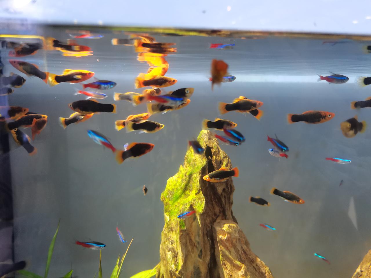 明天要出差了，
小老板表妹一周岁生日，
为此我下班还去商场跑了一个小时。

小老