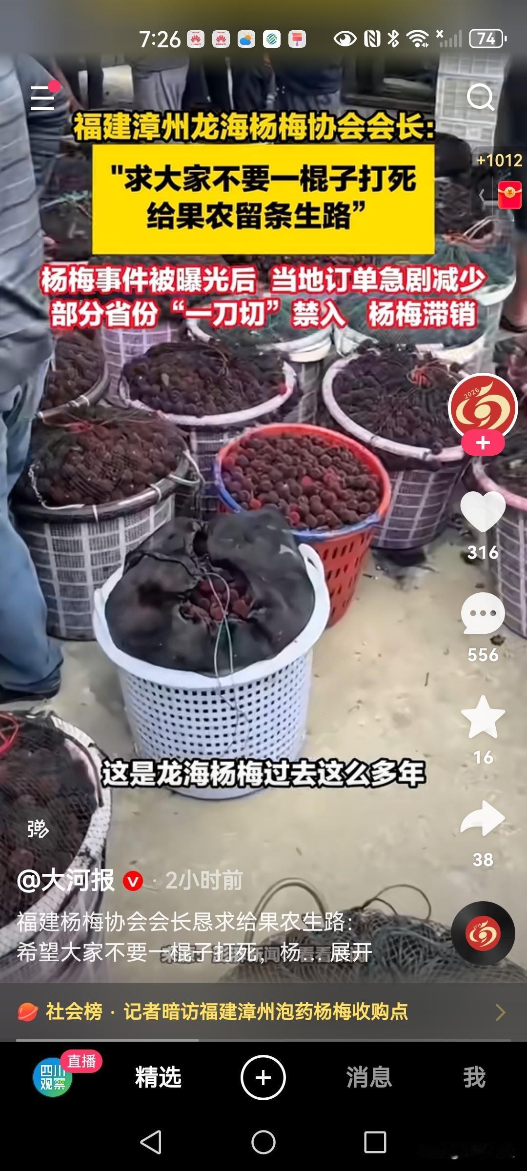 福建杨梅协会会长此刻站出来，恳请大家给果农一条生路。泡药杨梅事件曝光后，受伤害最