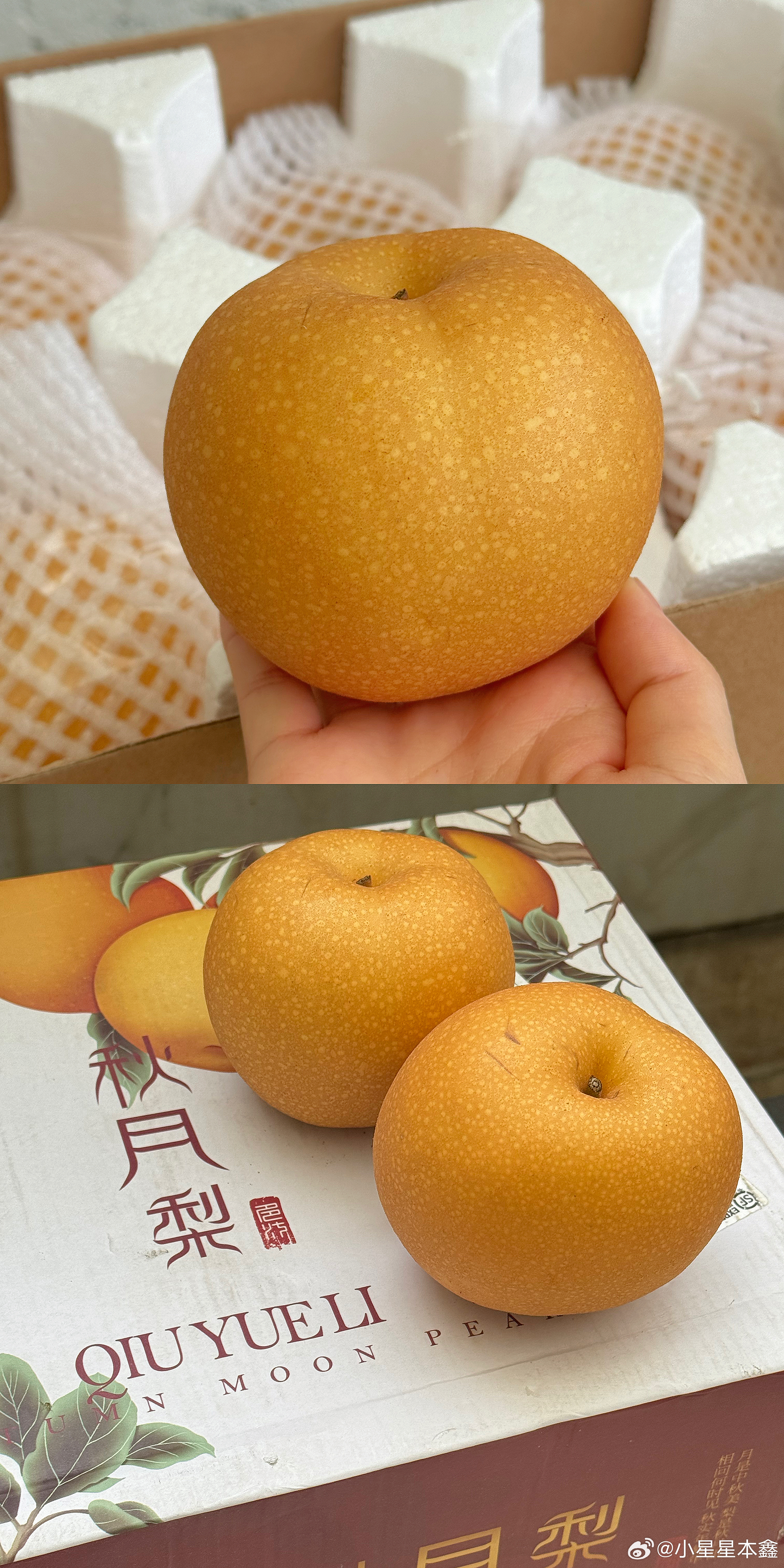 一周一个好吃的！秋天来了经典栏目强势回归，怪我自己购物欲太强，最近入了好多好吃的