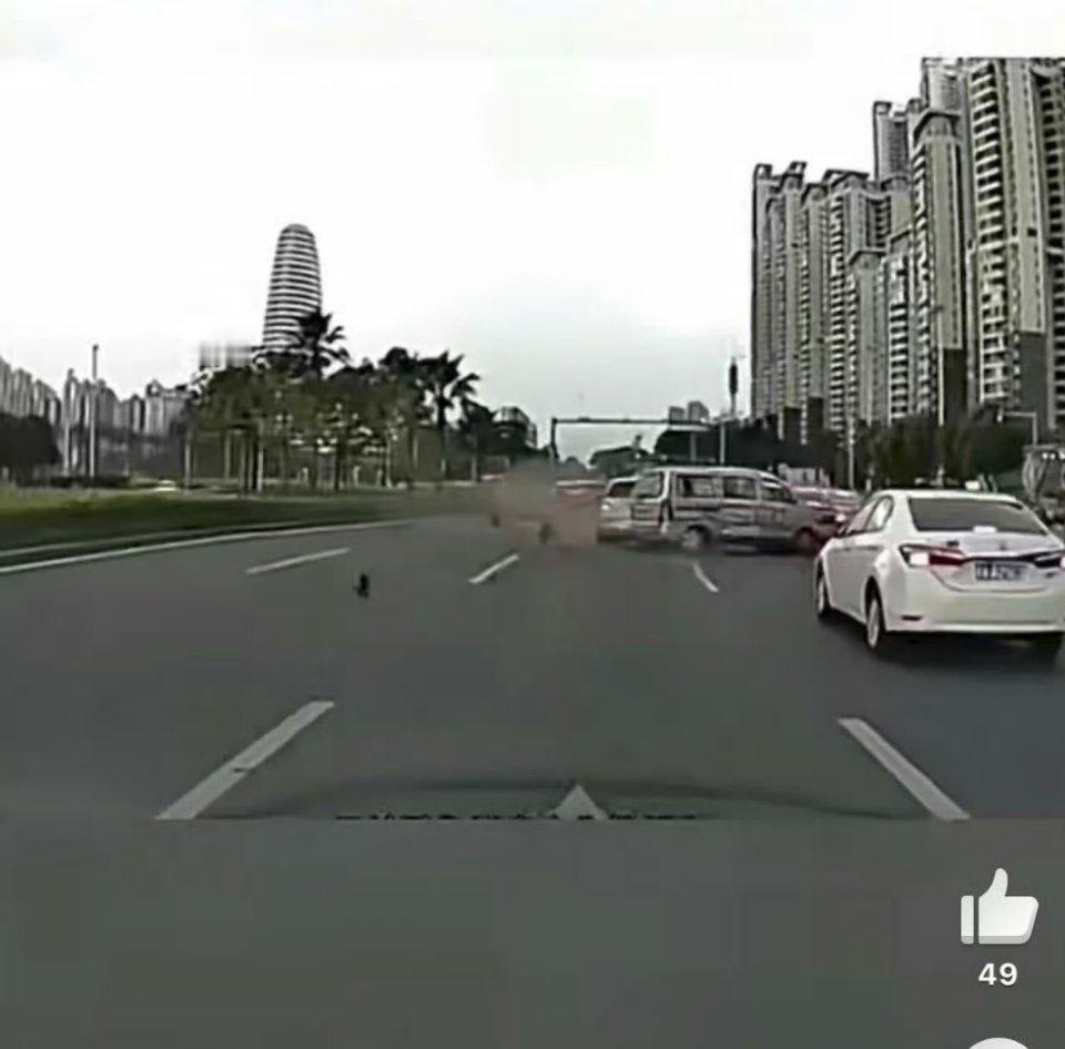 看到这个澄清，心里踏实了不少。现在消息太乱了，有点风吹草动就传得满天飞。智能驾驶