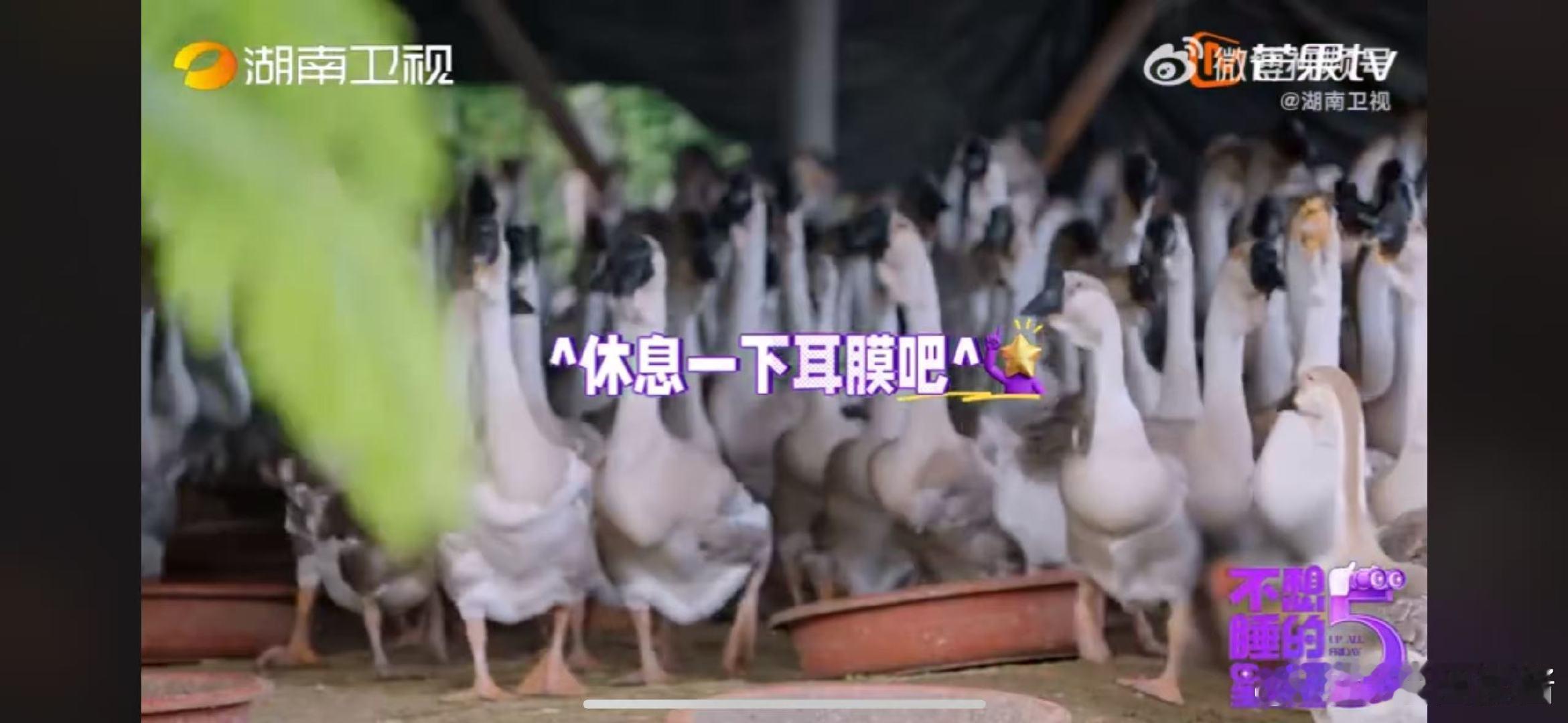 周翊然电梯这段演我上班路 不想睡的星期五群像孙怡唐艺昕花式介绍周翊然，电梯里乖巧