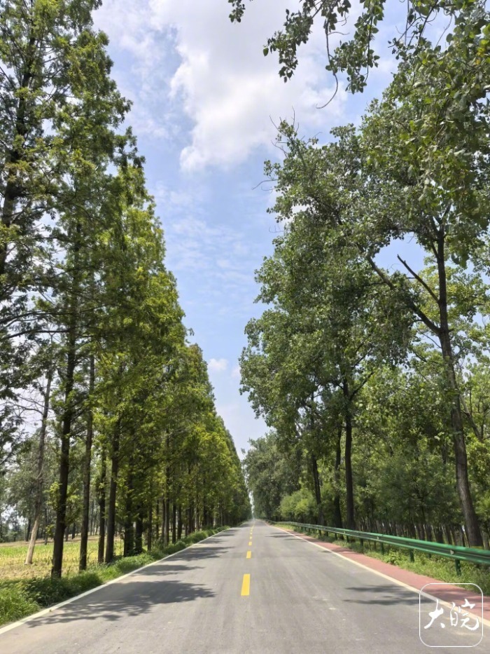 【点赞！#18位老兵植树26年将荒滩建成3A景区#】#安徽18位老兵扎根滩涂26