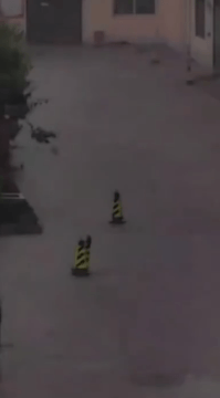 三个桩子就是一台大戏，成精了 