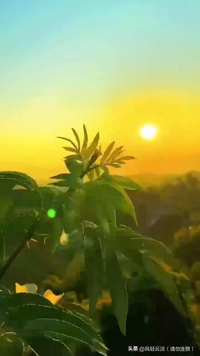 账号信誉分从35分爬回95分，失而复得的心情比中奖还甜！
 
之前账号不小心触碰