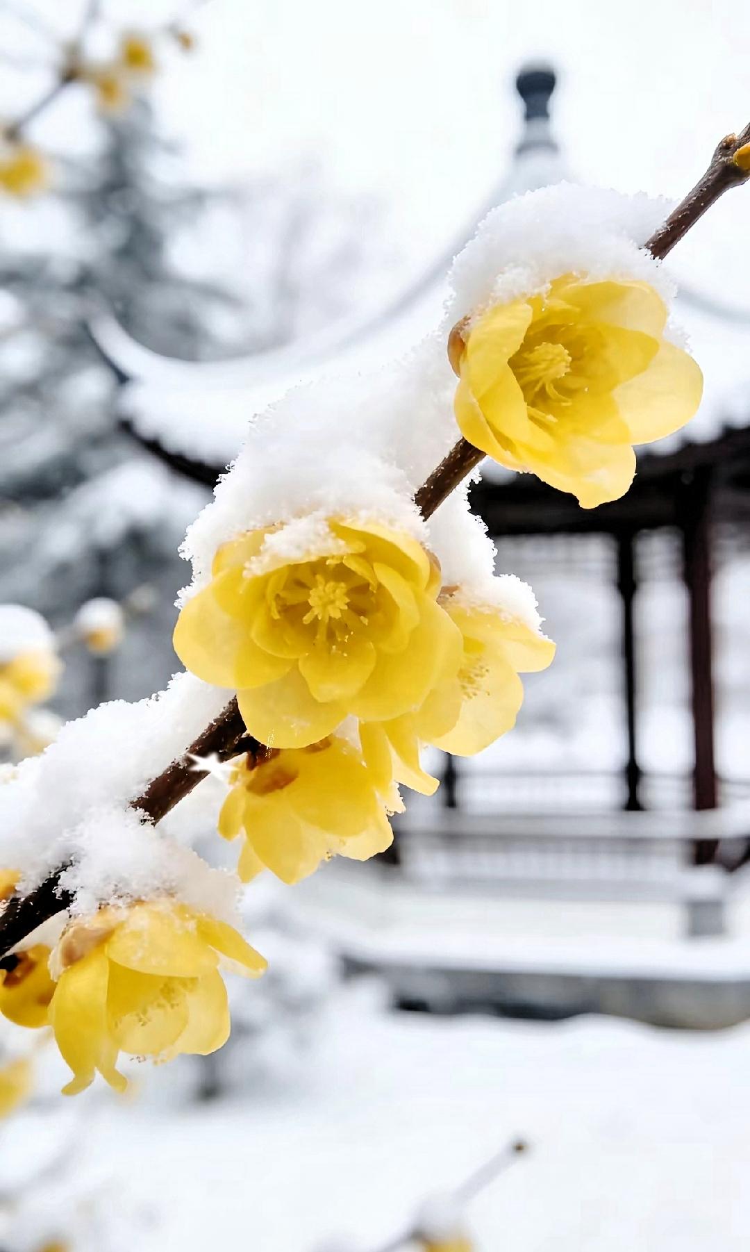 姐姐癌症去世那年42岁，半年后，姐夫给我妈打电话，他要再娶。我妈说他们不管。
​