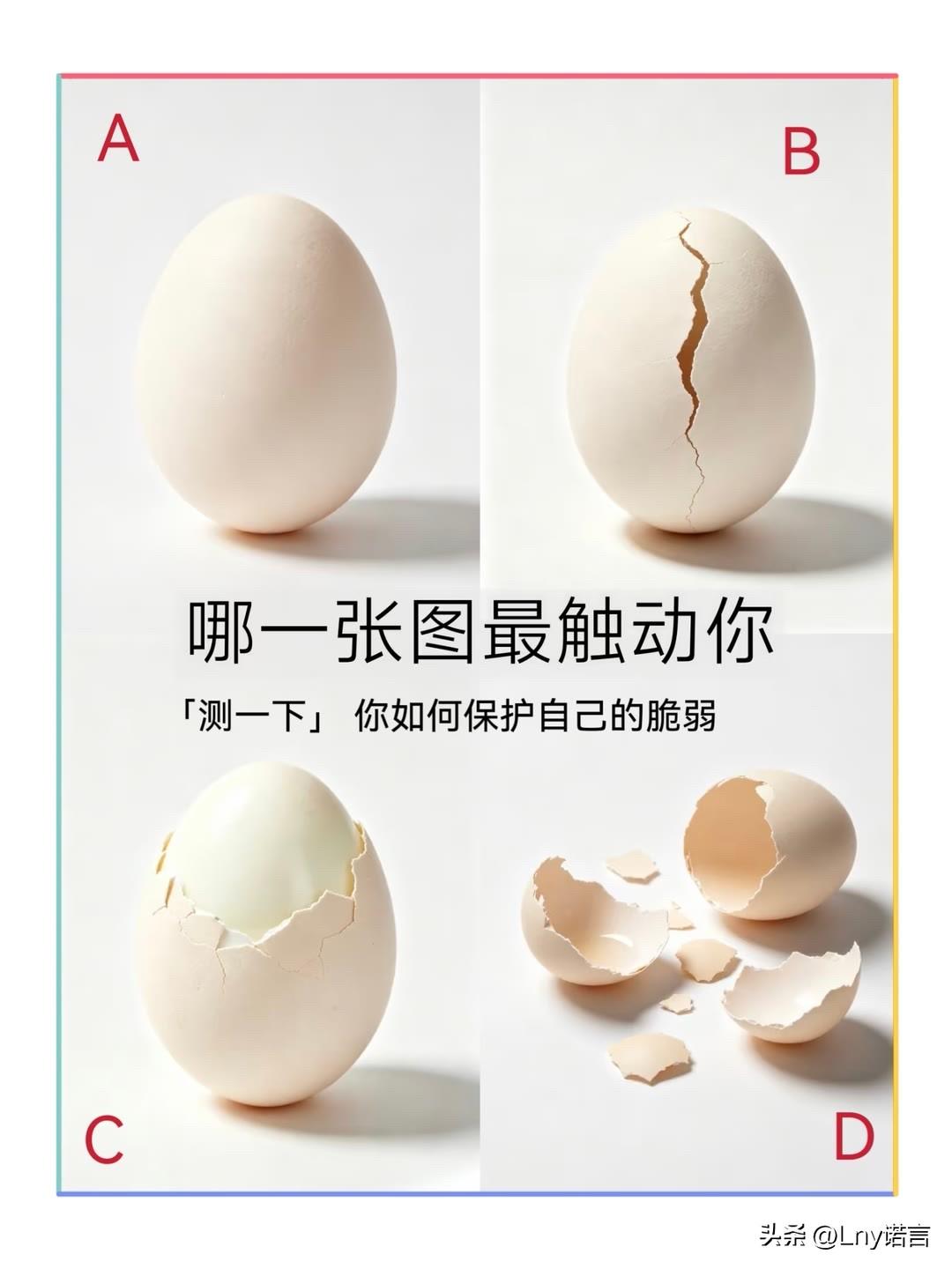 「测一下」你如何保护自己的脆弱