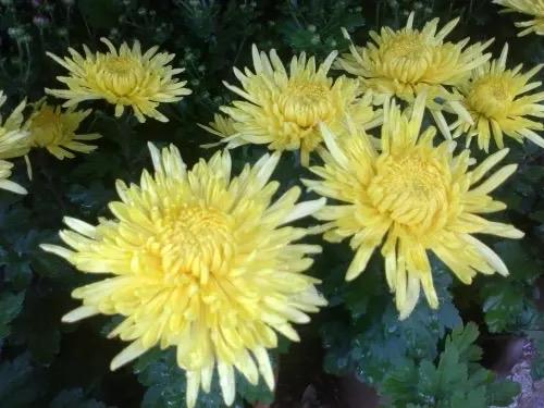 一名男子带着一双儿女，站在孩子妈妈的坟墓前。几年过去了，妻子因病离去的事实，他始