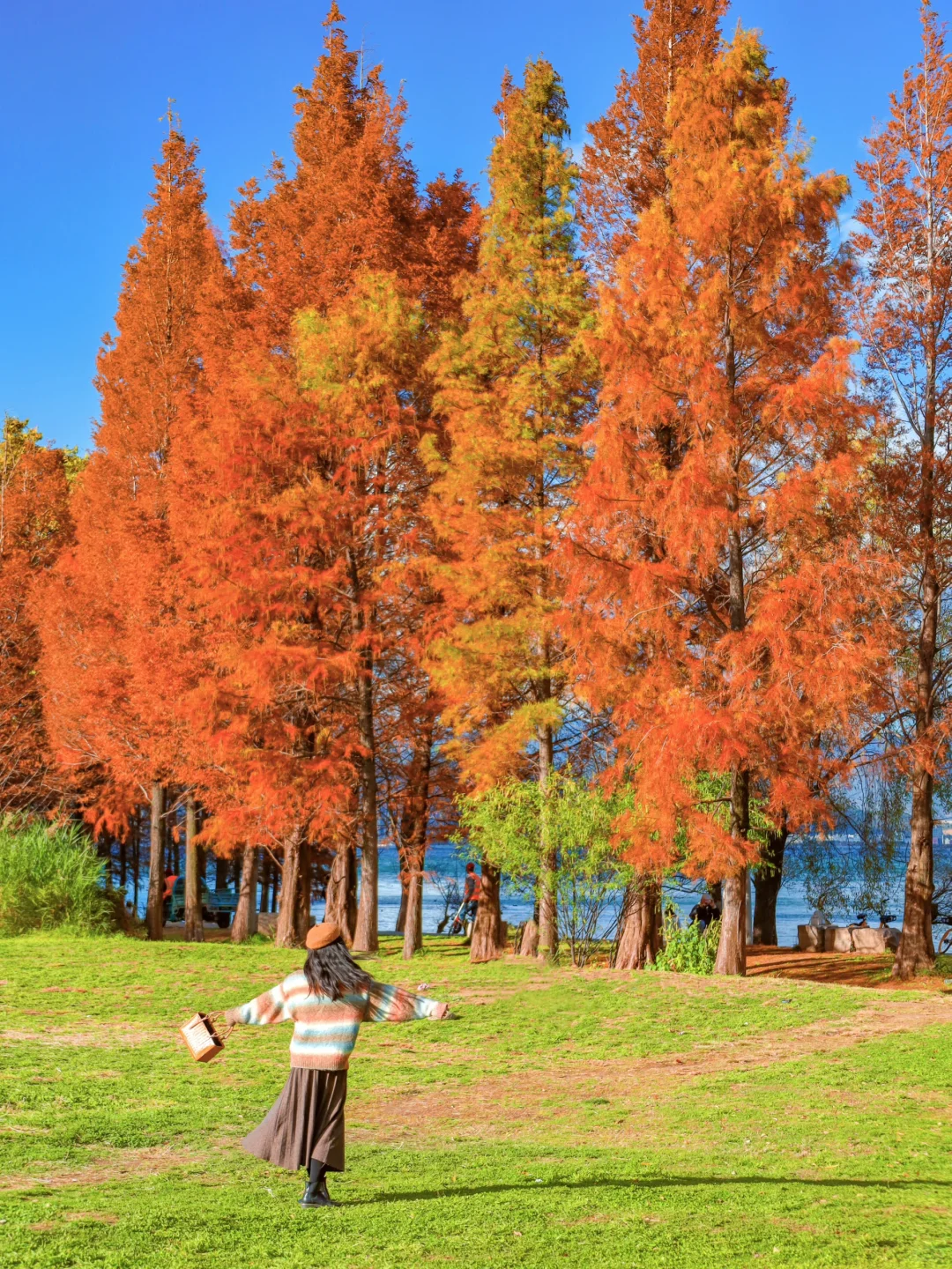 答应我！冬季一定要去趟大理🍂美得像油画🎨