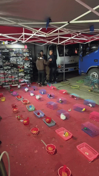 顾客玩套圈游戏非常幸运的套中了一只小羊摆件。
根据游戏规则，顾客可以用这个小羊摆