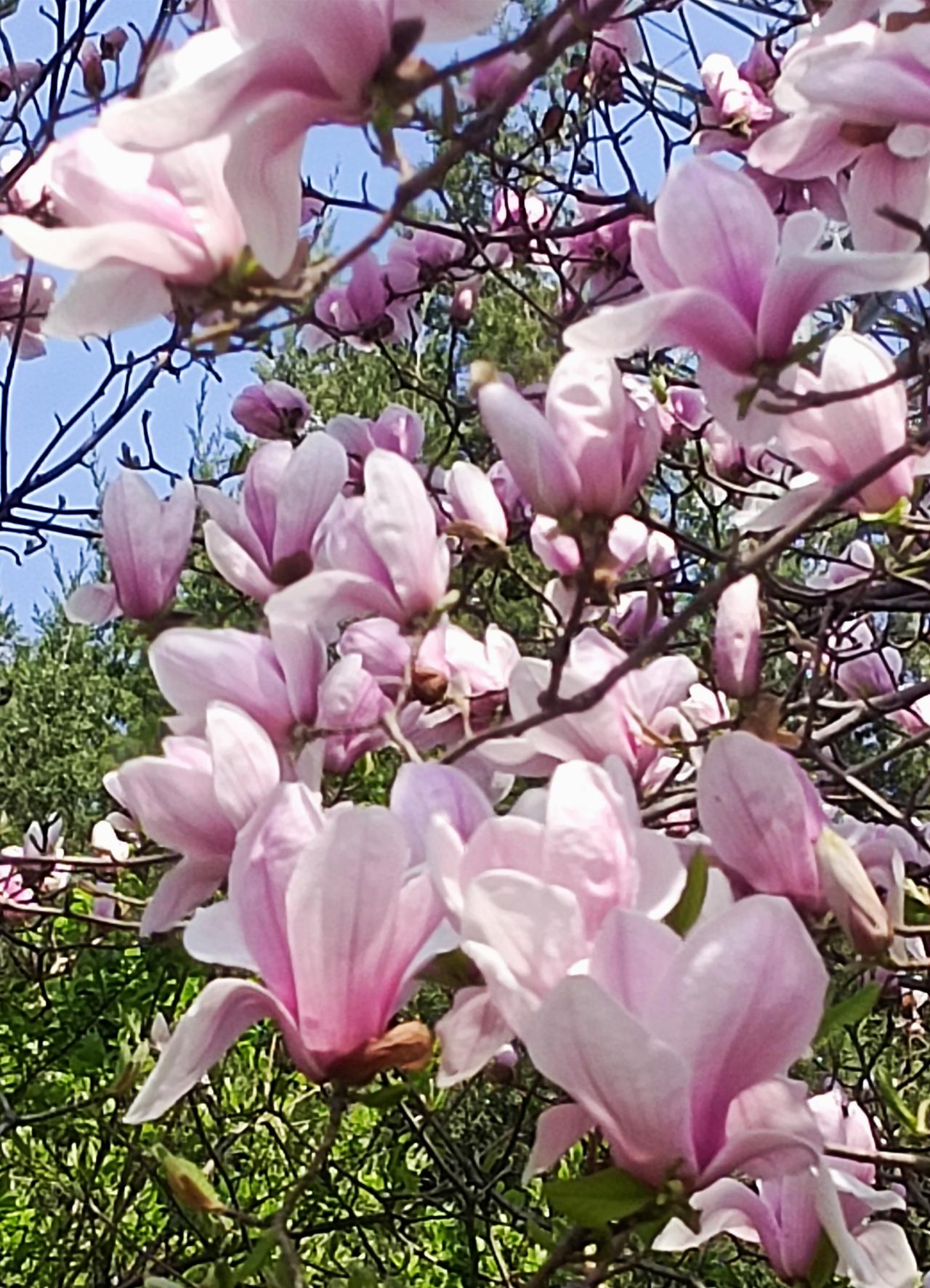 我们所言的“一帆风顺”，并非指毫无风浪，而是当风浪袭来，你仍能稳稳立于船上，甚至