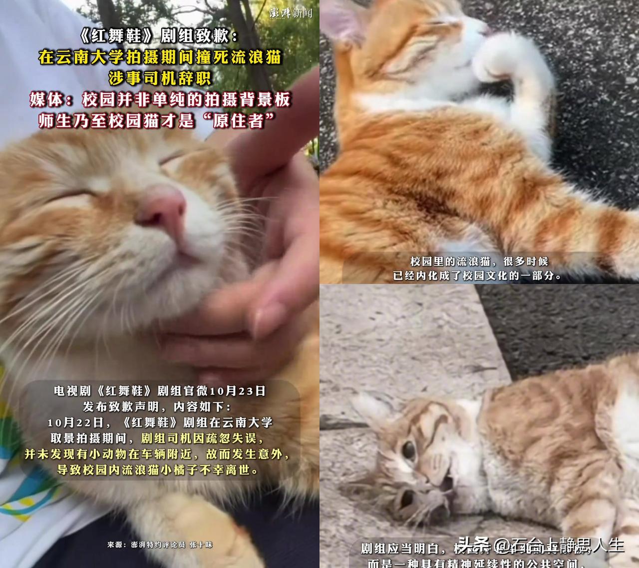 云大的同学今天朋友圈都哭红眼睛了！

红舞鞋剧组拍《红舞鞋》，居然挪开云大的