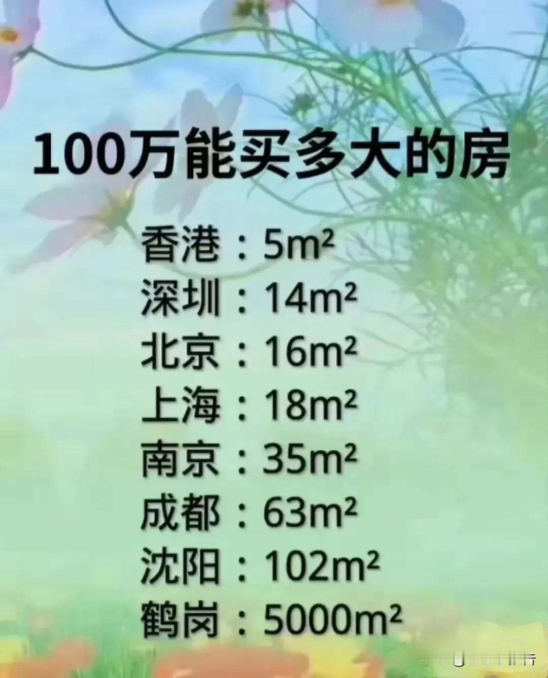 100万元能够买多大的房子，下面这张图显示了在香港、深圳以及东北的鹤岗能够买到多