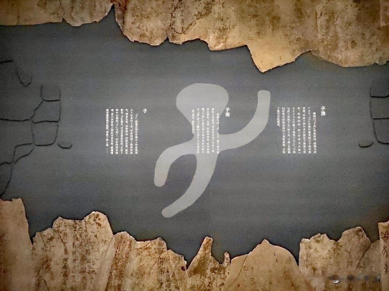 王入大邑商（十）
——天津博物馆藏武丁卜辞探亲展