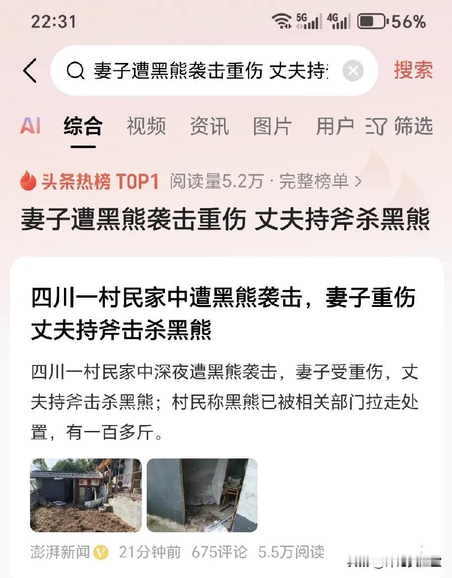 妻子遭黑熊袭击重伤 丈夫持斧杀黑熊
我很想问，遭黑熊袭击的妻子治疗费用谁出？
据