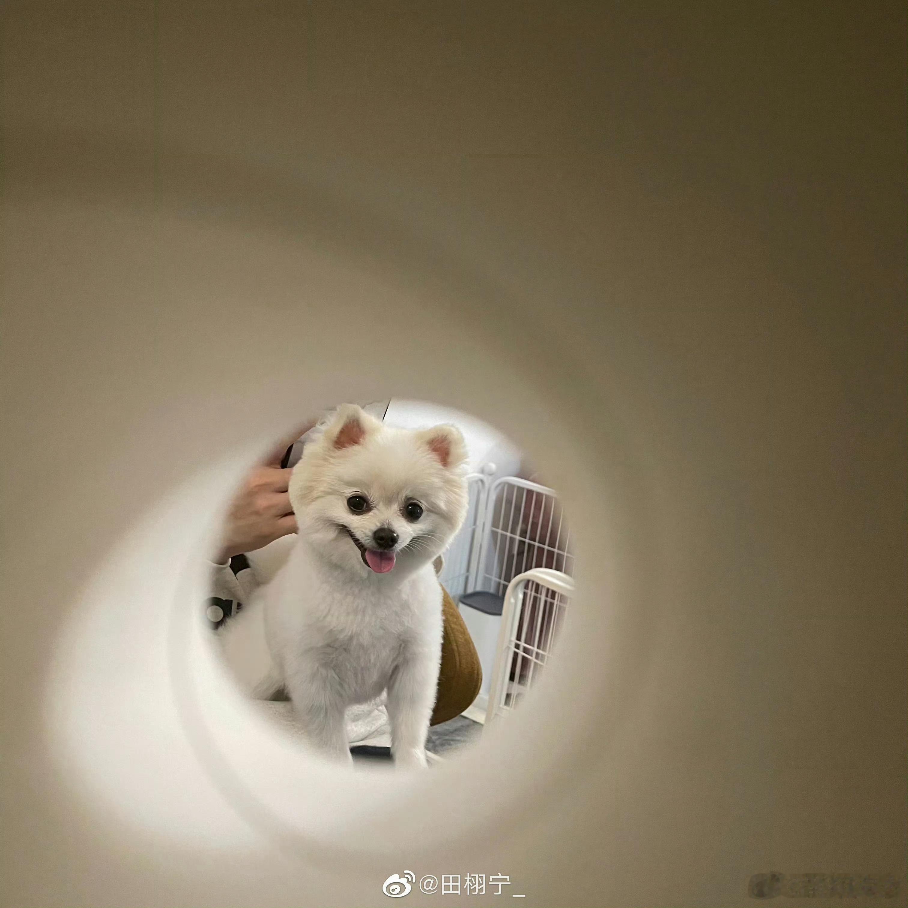 小雷你很懂怎么拍自己嘞 