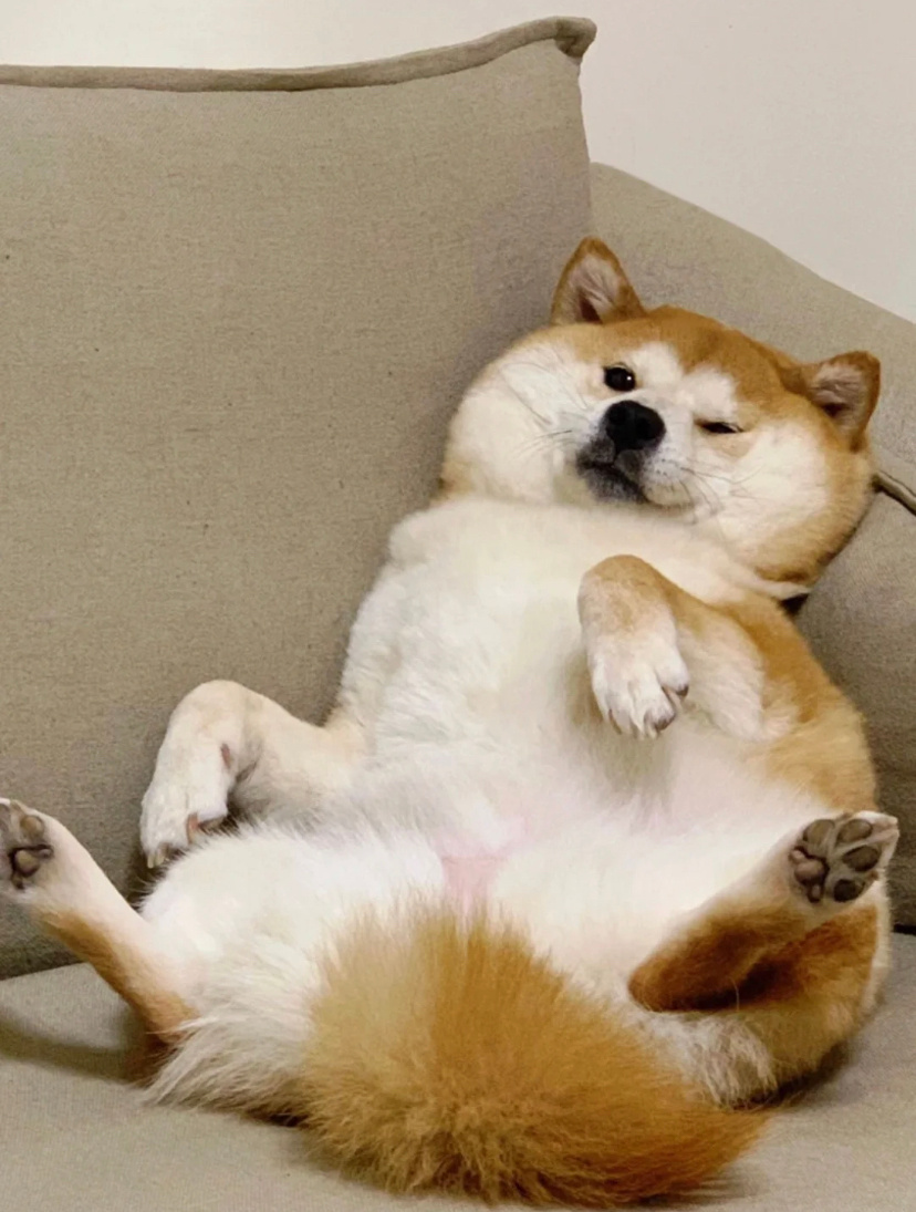 这几天已经忙到眼睛有血丝了，啊啊啊下周忙完就好点了 ​​​