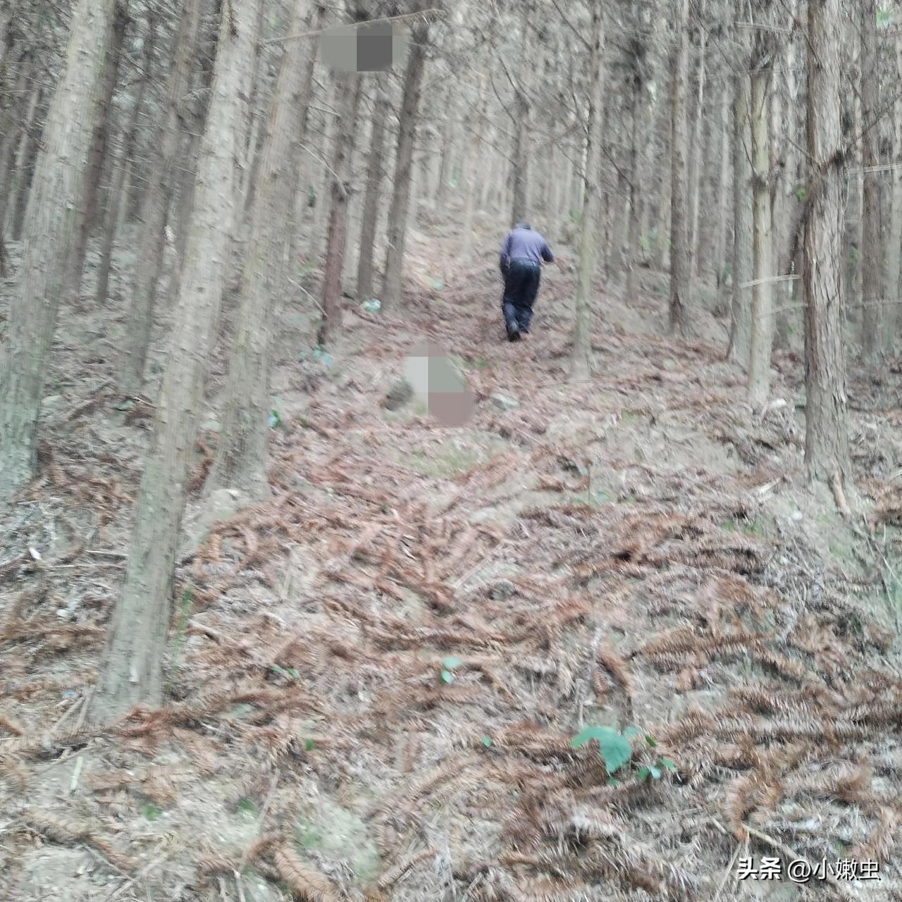 清明节快到了，陪父亲扫坟。
父亲年年都说：“要放弃这个坟，风水再好都没用”，祭拜