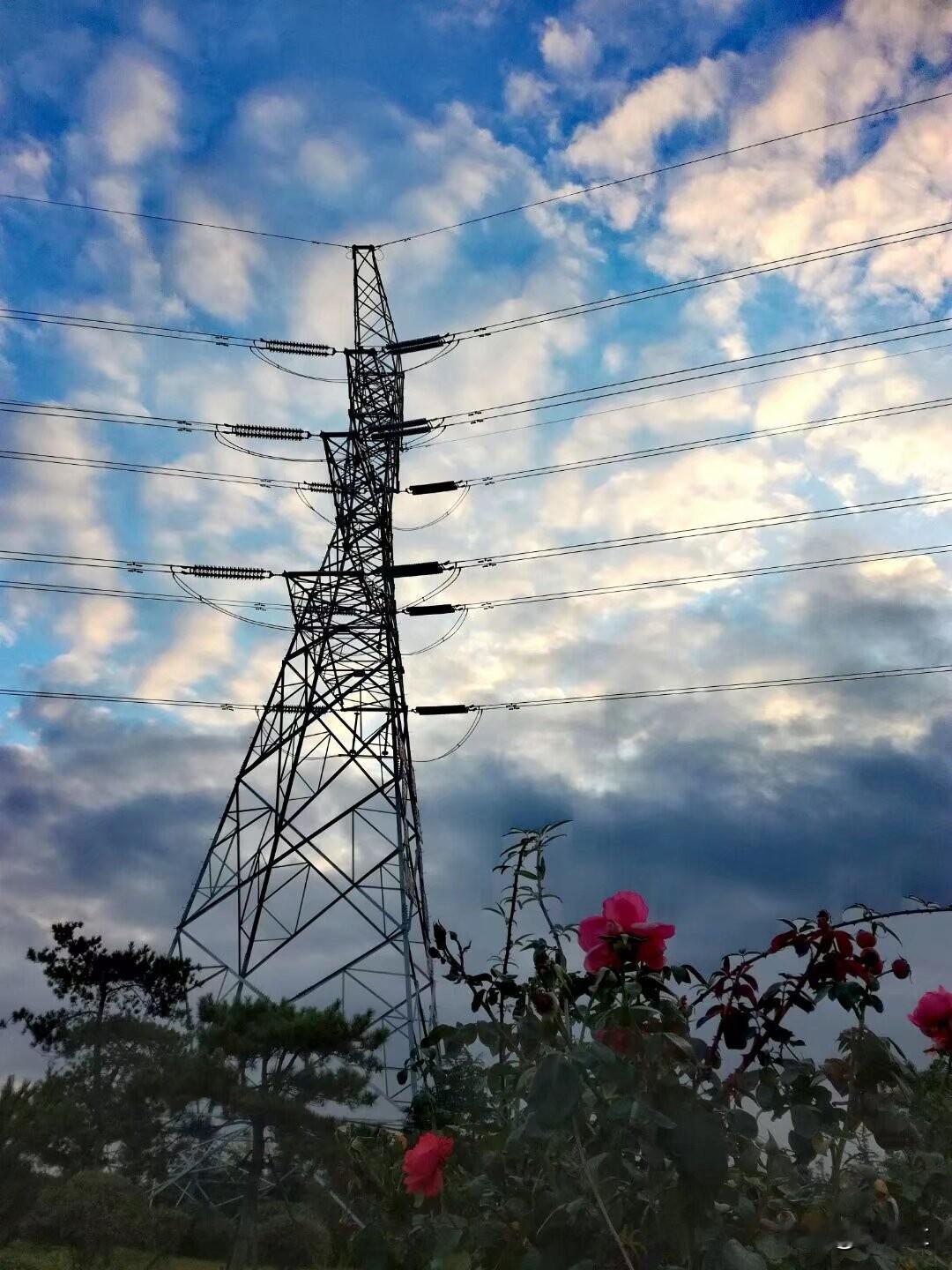 冬日生活打卡季