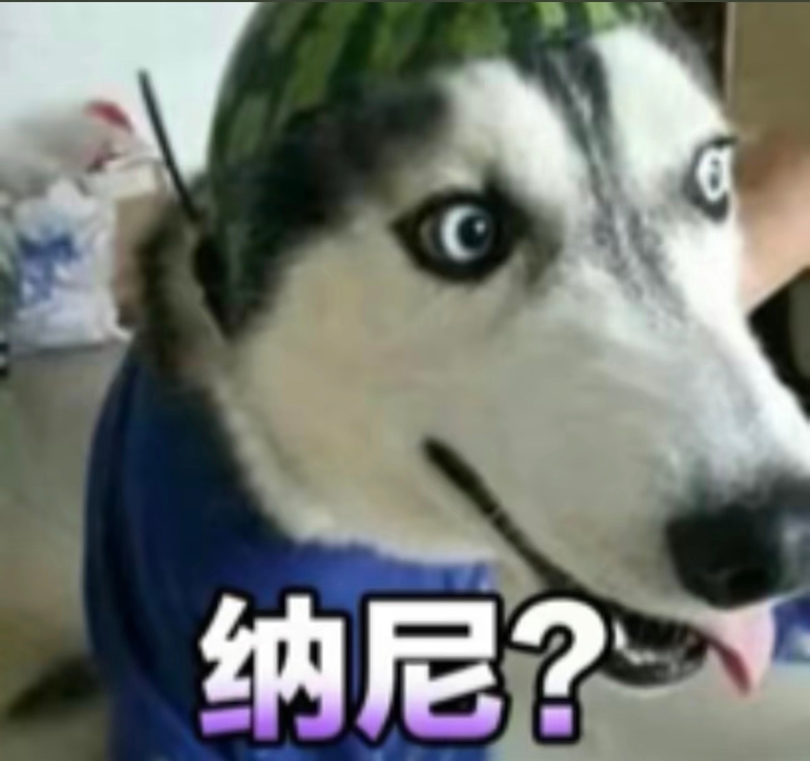 腥情 ​​​
