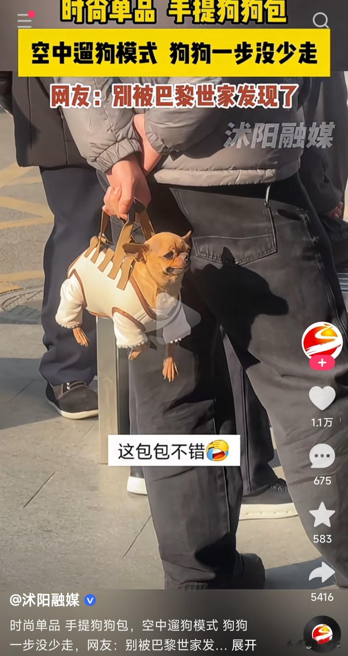 不仔细看还以为他手里提的是包呢？走进一看原来提的是狗子，这是手提狗狗包吗？空中遛