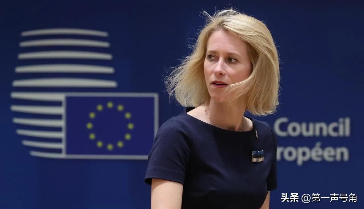 欧盟外交部长卡娅·卡拉斯今天在接受《金融时报》采访时发表了言论说：“美国已经非常