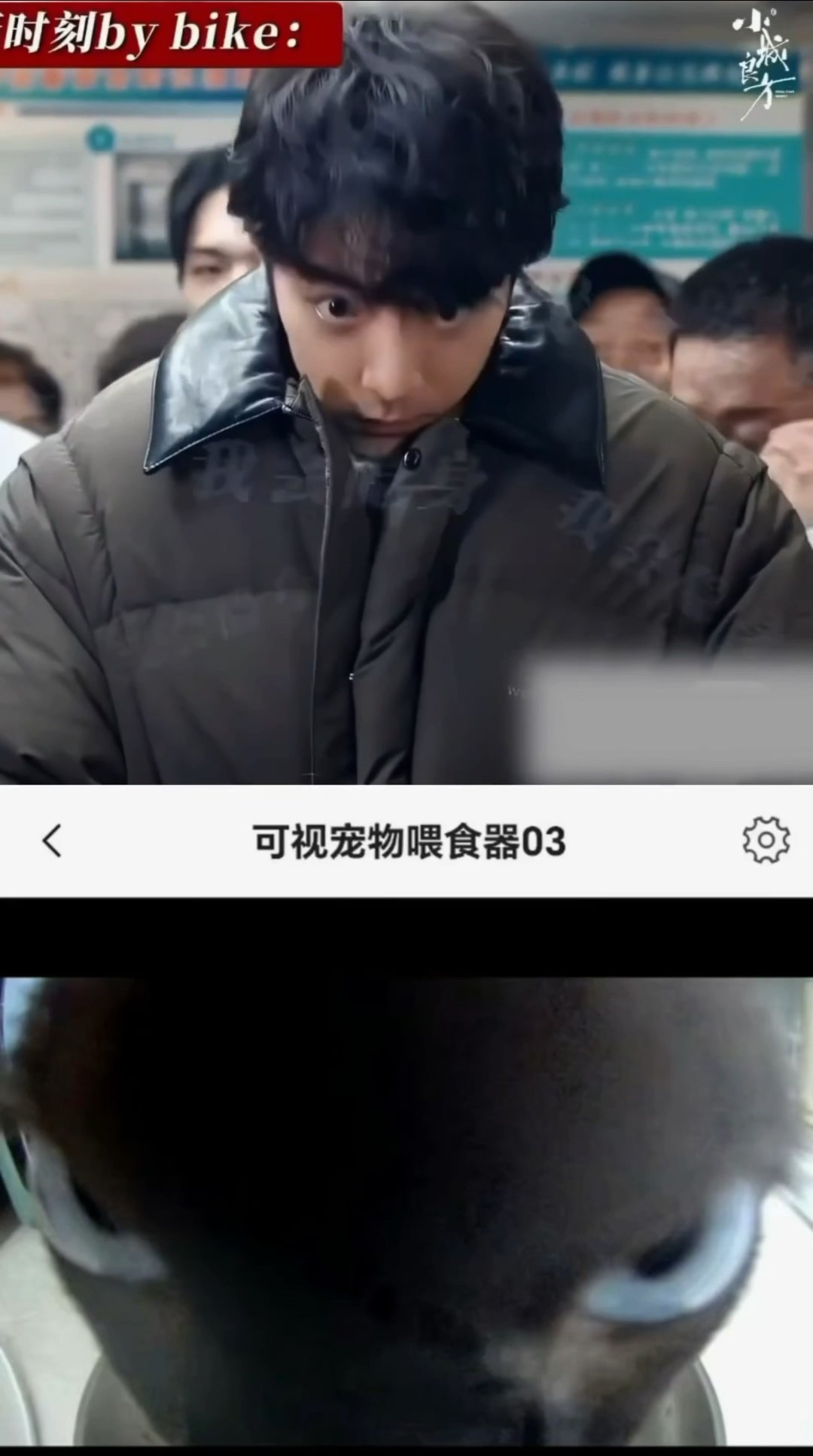 肖战宠物喂食机视角肖战刘铮亮宠物喂食机视角肖战刘铮亮宠物喂食机视角 ​​​