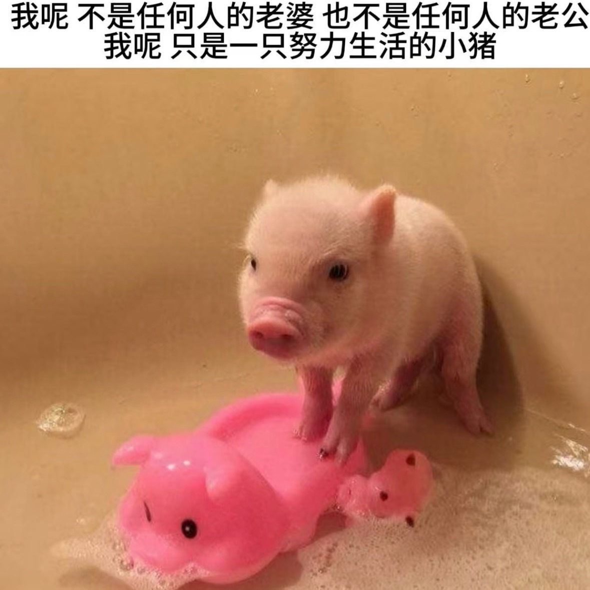 原创博一条十五字十五字十五字 
