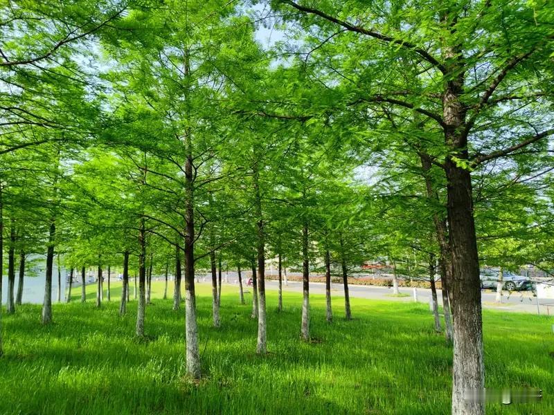 也就是因为真诚以待，我的账号115天做到万粉，当然还有不断更的坚持原创。

我坚