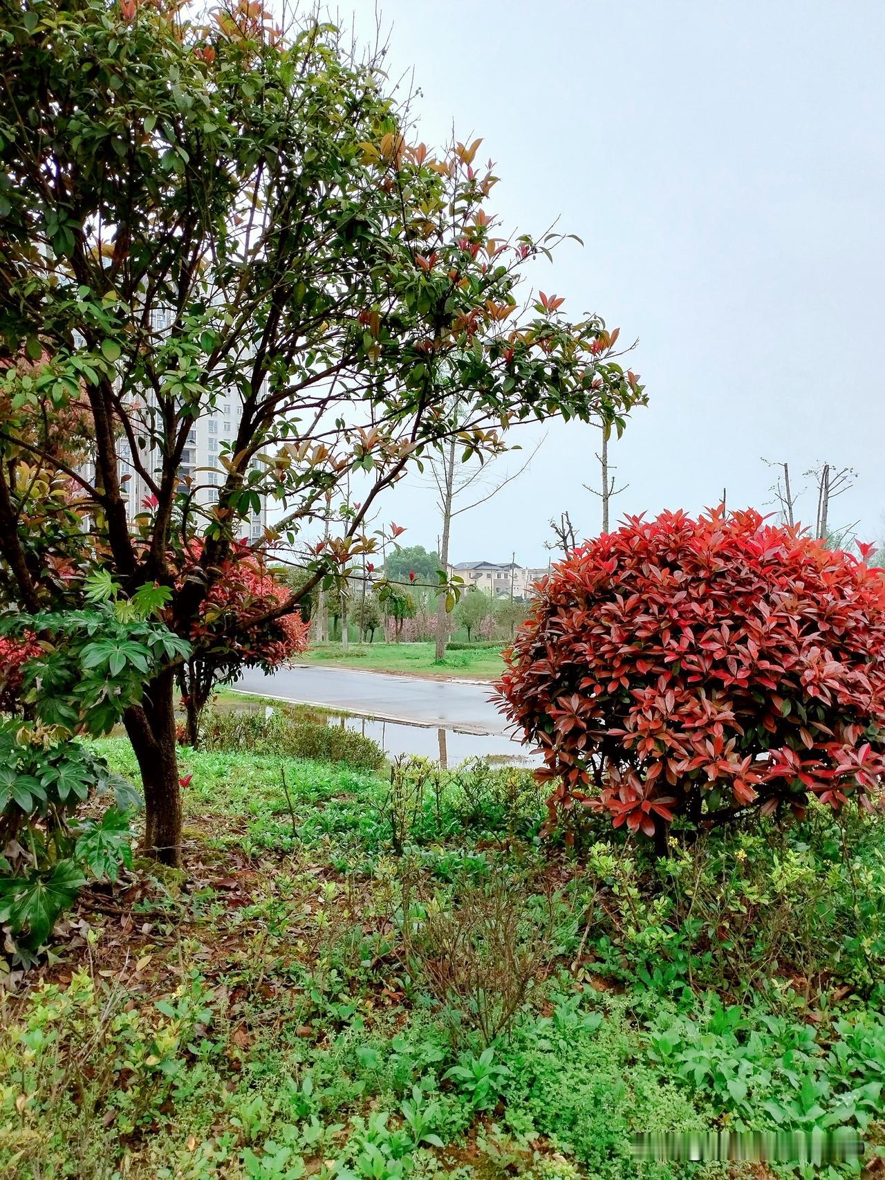 岁纳新程 光永春联. 岁纳新程 春雨润万物 春雨润万物 上联：春光遍草木，请对下