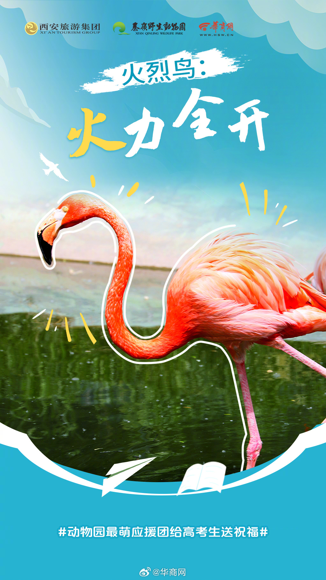 【快查收！#动物园最萌应援团给高考生送祝福#】“熊”有成竹、“猩”想事成、如虎添