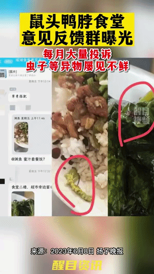 假如我相信鼠头鸭脖确实是鸭脖子，但是面对食堂每个月有几十条食品投诉学校又该如何解