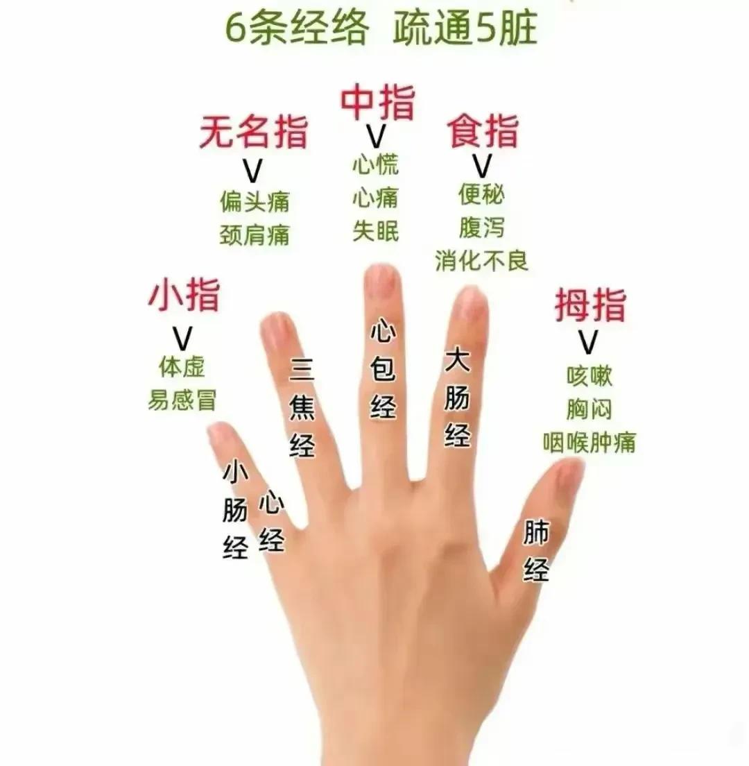 疏通经络最好的办法就是——刮手指，轻轻松松疏通全身经络！

1、拇指
拇指对应的