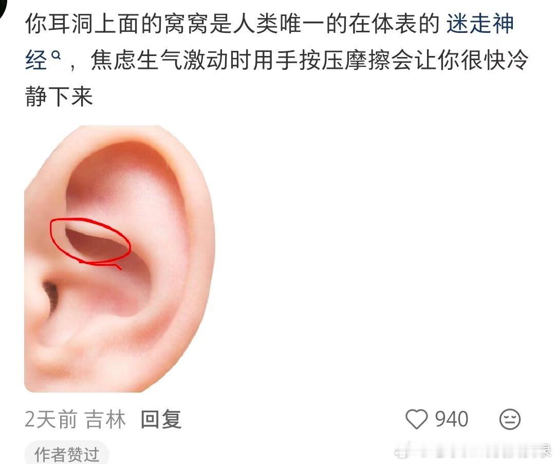 8485每日一小知识 