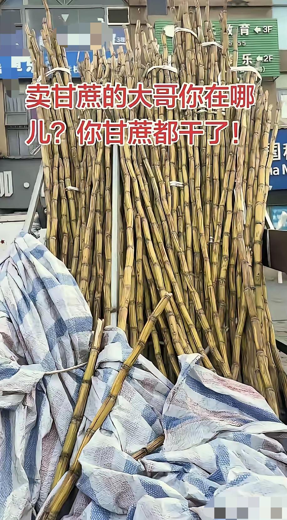 谁能想到，一堆枯成木头的甘蔗，竟牵出了成都最暖的人间善意。楼下常年摆摊的大哥久未