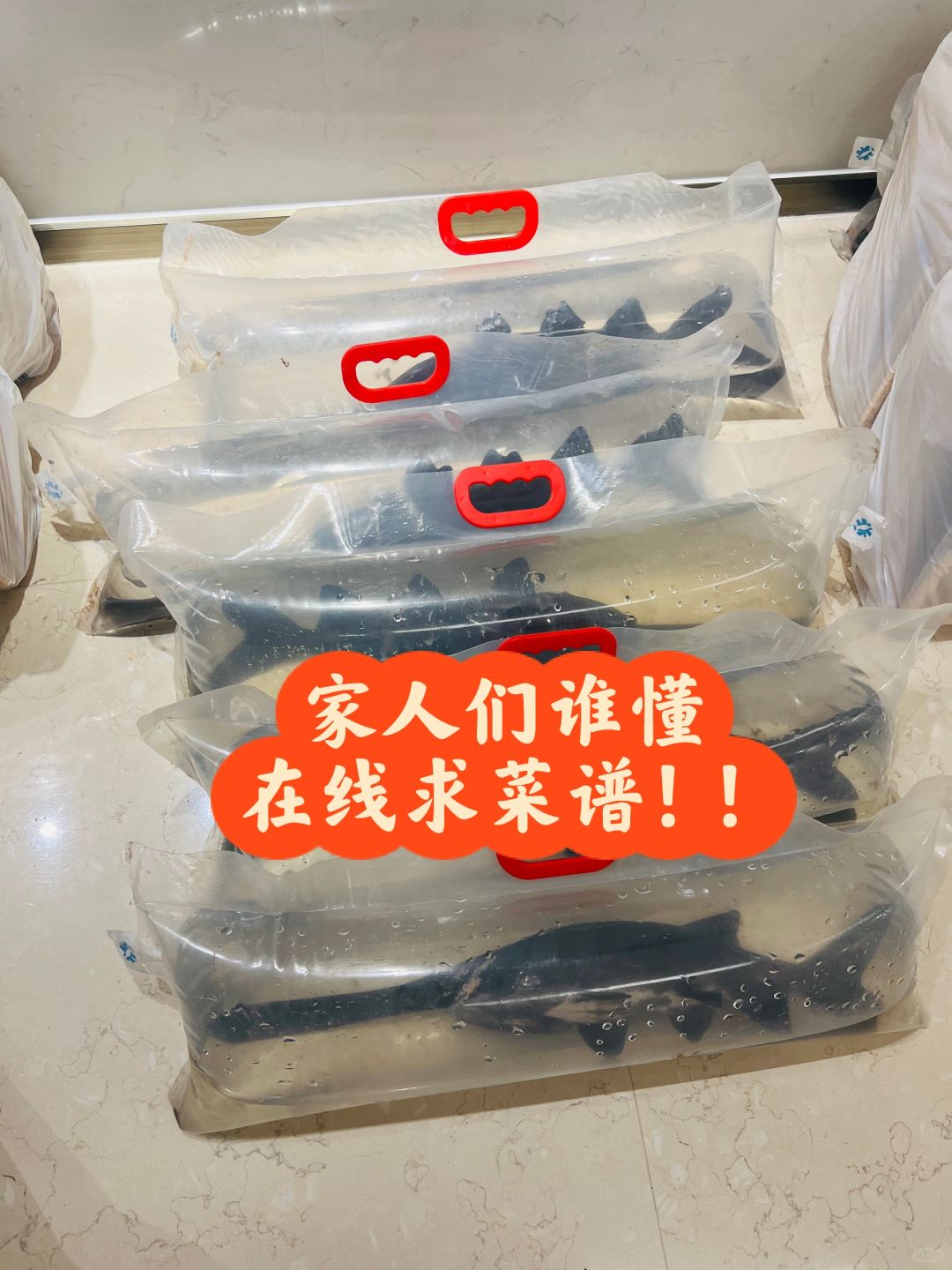 我司奇奇怪怪不按套路出牌的年货来了❗