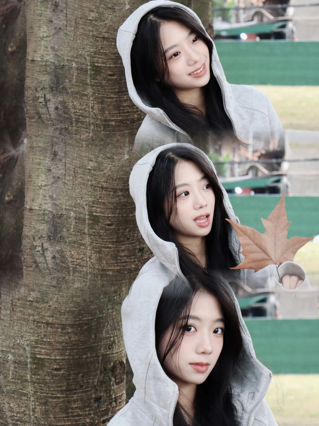 🍁