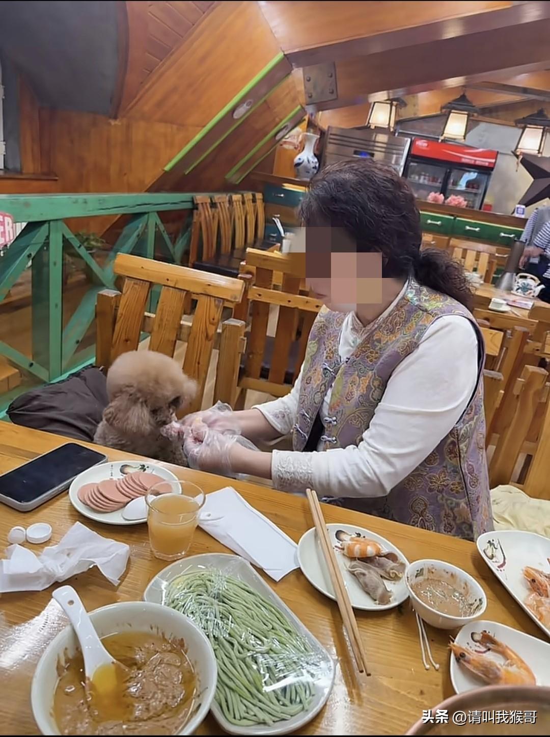 照顾宠物真的是尽心尽力