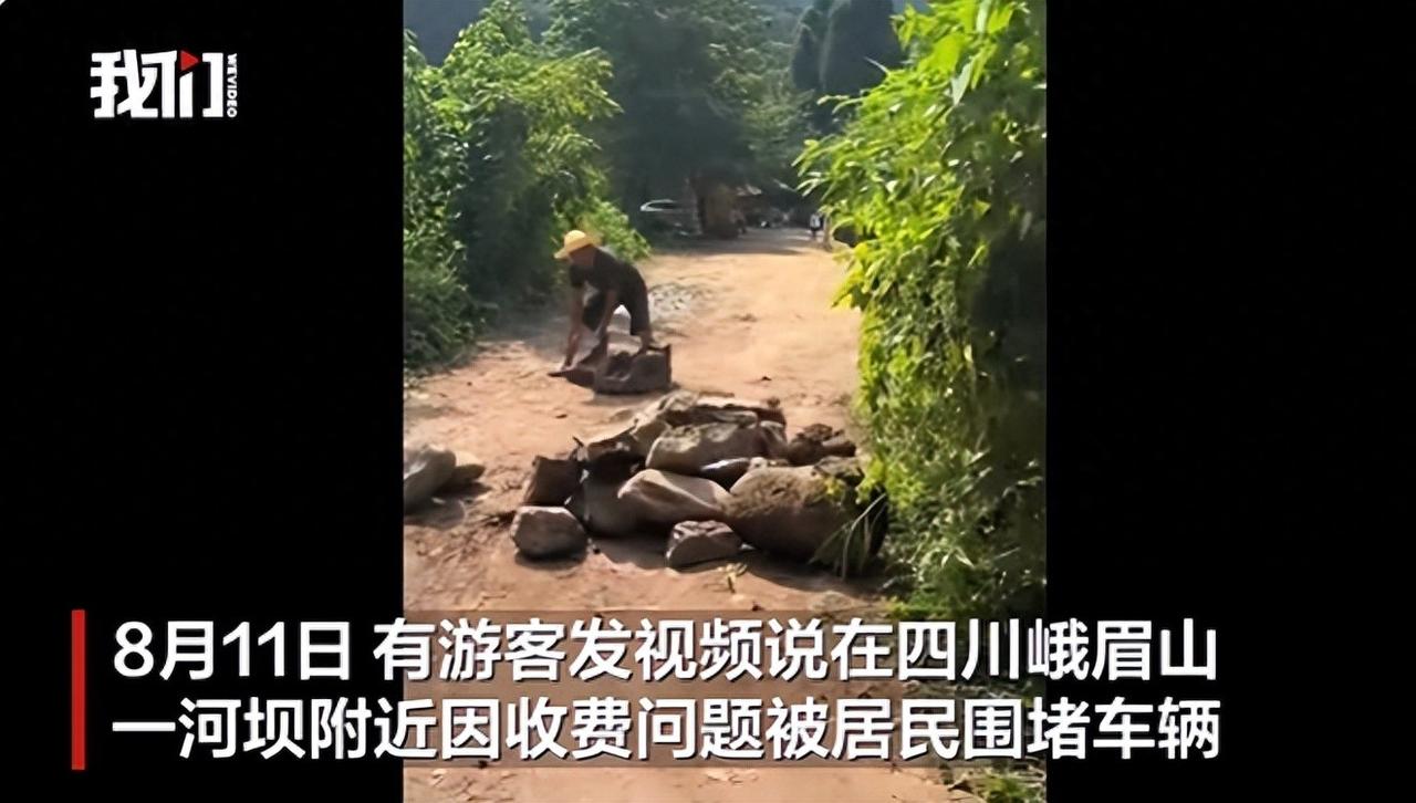 游客停车的地方是村民家的自留地，按理说应该给农民一些补偿。游客说村民开不了发票，