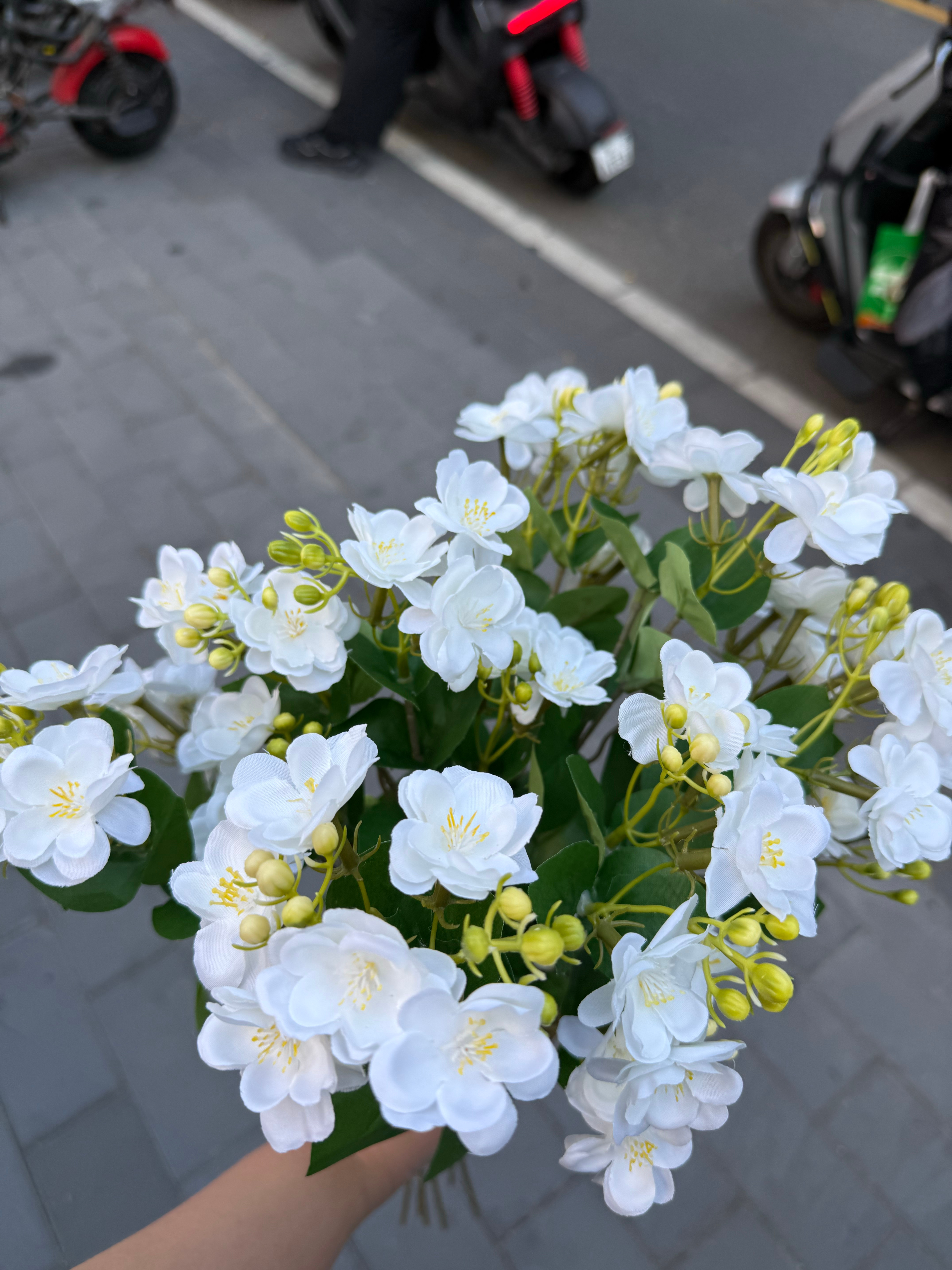 《莫离》追剧团今天用到的茉莉花 