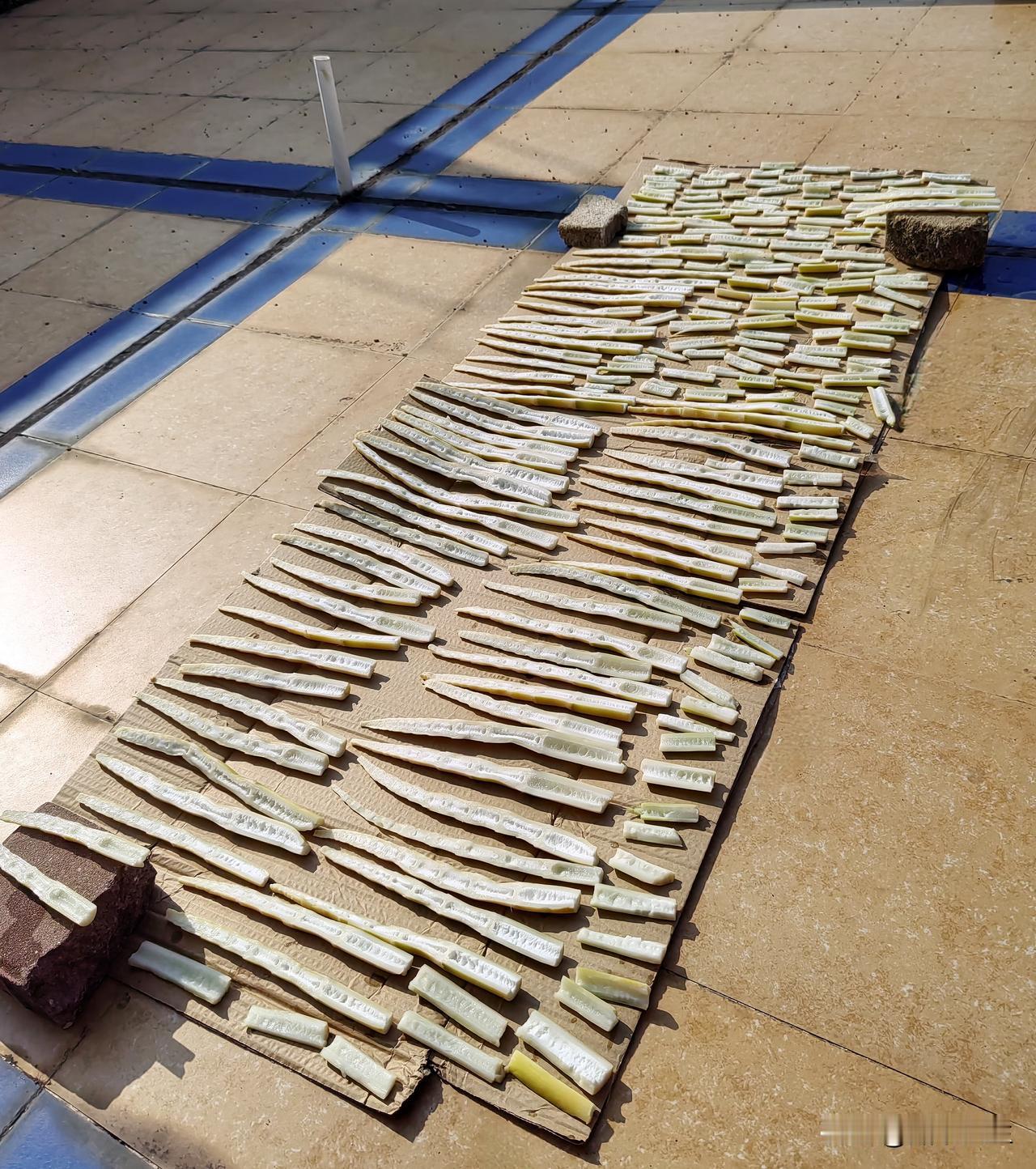 什么叫柳暗花明又一村？是福是祸，或许天已注定。
      周六，我约了人去山上