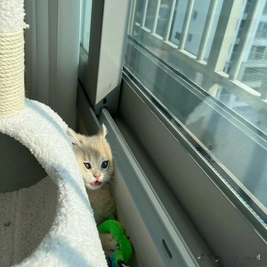 今天真是个好天气，很晴朗很……夹。