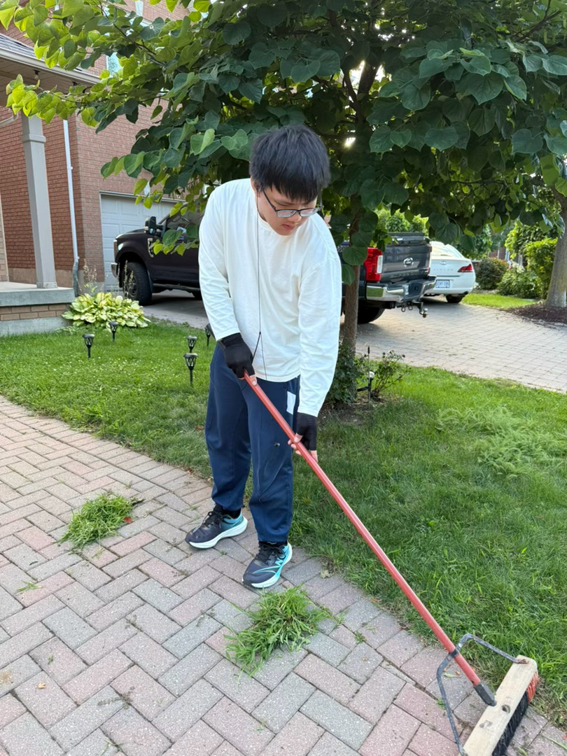 家门口杂草丛生，和老大蹲草地上拔草2小时。怎么说呢？挺治愈的。这种活，特别适合脑