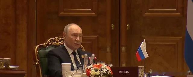 俄罗斯总统弗拉基米尔·普京呼吁扩大联合国安理会，吸纳全球南方国家参与。
普京于1