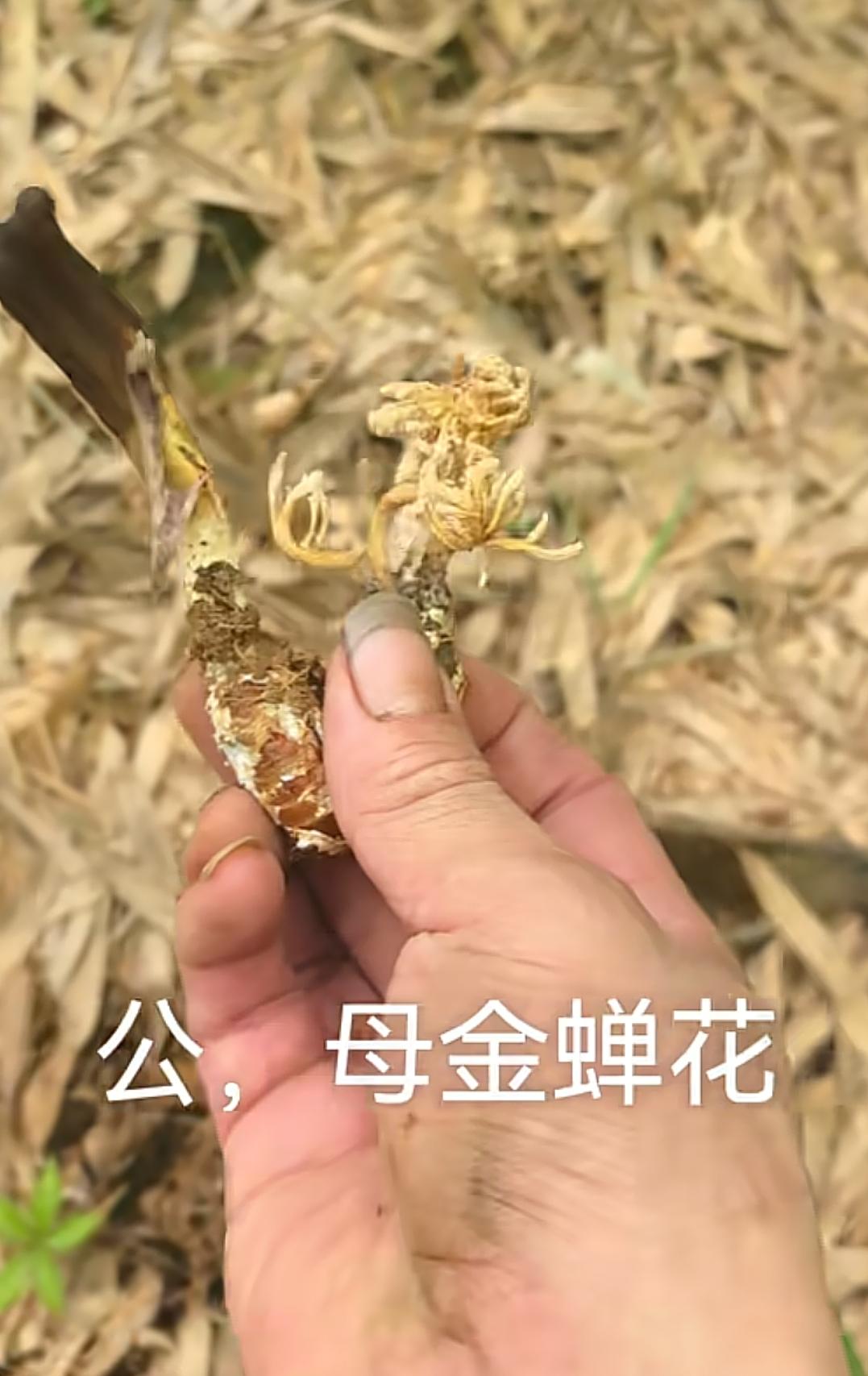 英语该不该降权重为什么我们国家在物理化学数学世界级奖没有其他国家的人多吗？因为我