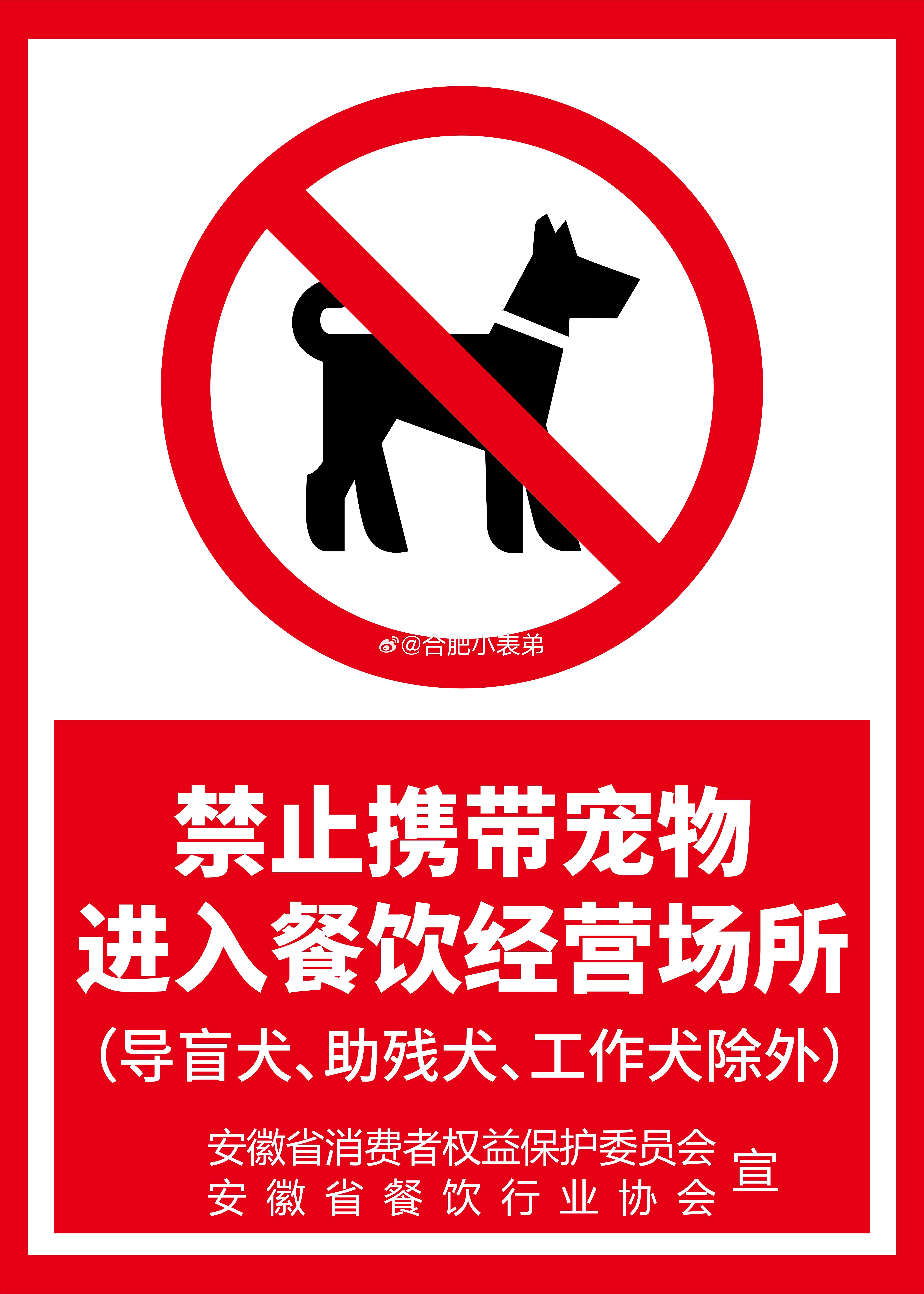 合肥多措并举倡导餐饮场所文明携犬合肥多措并举倡导餐饮场所文明携犬，必须点赞！之前