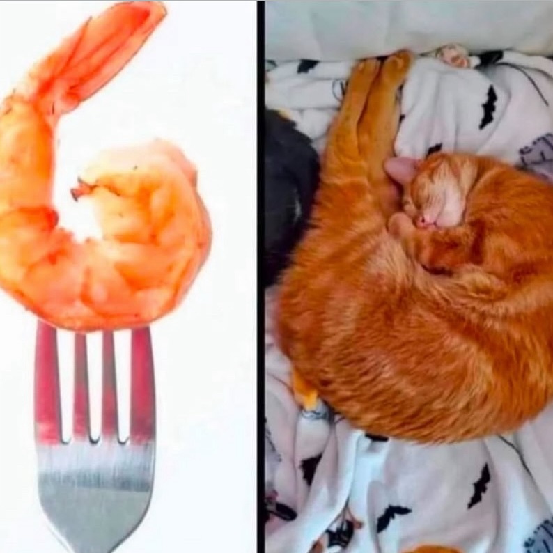 我吃 ​​​