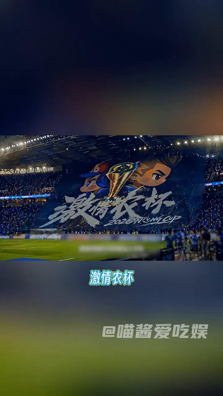 我说世界杯怎么到这来了？无人在意的角落，小王自己举办了一场足球赛，激情龙杯。双方