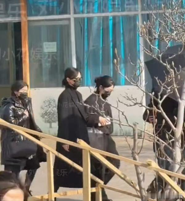 唐嫣出席罗晋父亲葬礼。 