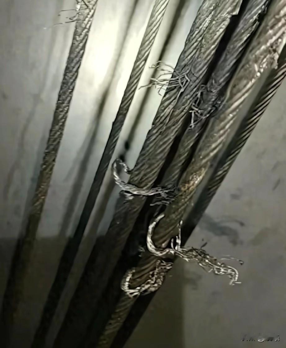 小区电梯是方便业主上下楼的工具，每天都要承载很多人的重量，为了保障大家出行安全，